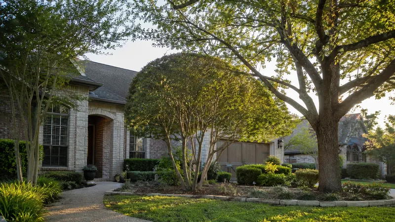 Tree trimming and canopy care in Spring Branch, TX by CJK Landscaping – project photo 6